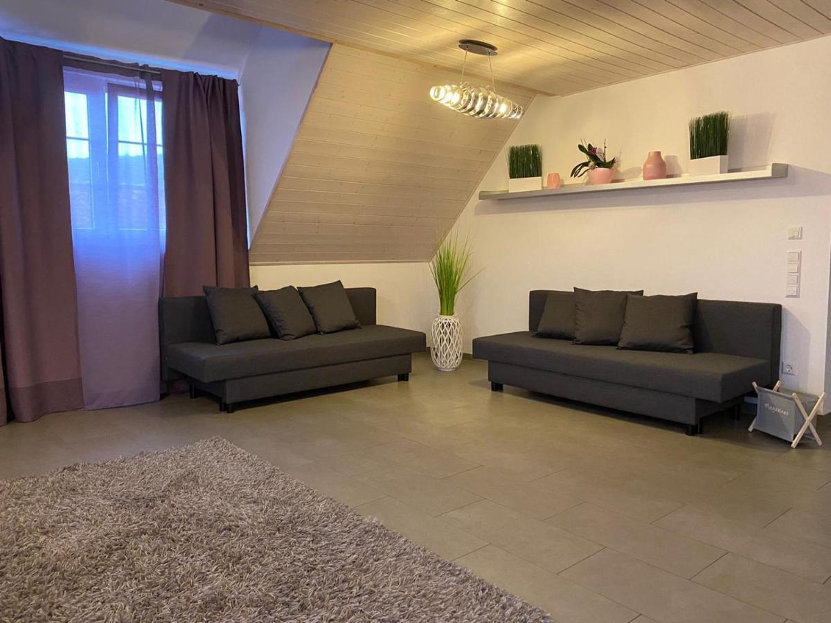 Ferienwohnung Sinsheim Exterior photo