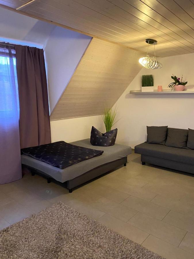 Ferienwohnung Sinsheim Exterior photo